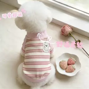 【Ready Stock】 Pet Clothes Good-looking Dog Cat Small and Medium Size Bichon Two Feet Apparel Super Cute New Stain-Resistant Cartoon Stripes kkPY