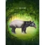 Thế giới động vật ma thuật cho trẻ em Đồ chơi Tapir Mã Lai Mô phỏng nhận thức Mô hình sinh học tiền sử Thời đại cổ Vườn Khoa học phổ biến