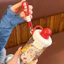 Bình đựng nước Xcup trong suốt Kèm Ống Hút Silicone Và Quai Xách bình nhựa Lucky 600ml có lõi lọc trà