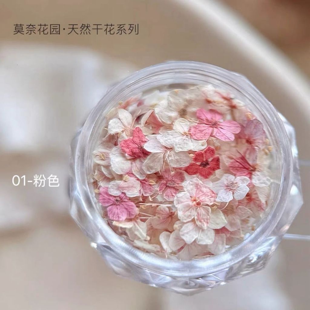 Làm Móng Tay Hoa Khô Chất Liệu Hỗn Hợp Monet Garden Mini Năm Cánh Chất Liệu Hoa Tím Nhỏ Hoa Tự Làm Móng Tay Trang Sức