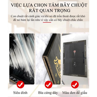 🐀Chuột không thoát🌈Keo Dính Chuột Siêu Dính-miếng dán chuột siêu dính-bẫy dính chuột siêu chắ-To và dày Chứa mồi