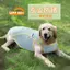 【Ready Stock】 Dog Lightweight Sun Protection UV-Resistant Cool Clothes Summer Days Pet Teddy Maltese Cooling Sling ugRE