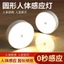 Cơ thể con người Cảm biến tự động Ánh sáng ban đêm Phòng ngủ Đầu giường Sạc khi mọi người phát sáng Nhà vệ sinh Cầu thang Đèn ngủ Ngủ 5CKK