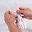 SA Mô hình cấu trúc bàn chân giải phẫu Xây dựng PVC lý tưởng cho sinh viên y tế hiểu chức năng xương và sắp xếp