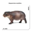 Đồ chơi giáo dục khoa học cho trẻ em Mô phỏng chắc chắn Mô hình động vật hoang dã Hippo Rhino Nhựa Đồ trang trí nhận thức Quà tặng