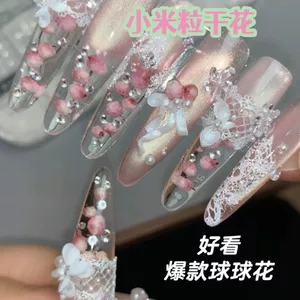Hạt gạo|Chất liệu trang sức hoa khô|Túi Tranh Hoa Hồng Nhỏ|Chất liệu làm móng tay|Trang sức móng tay