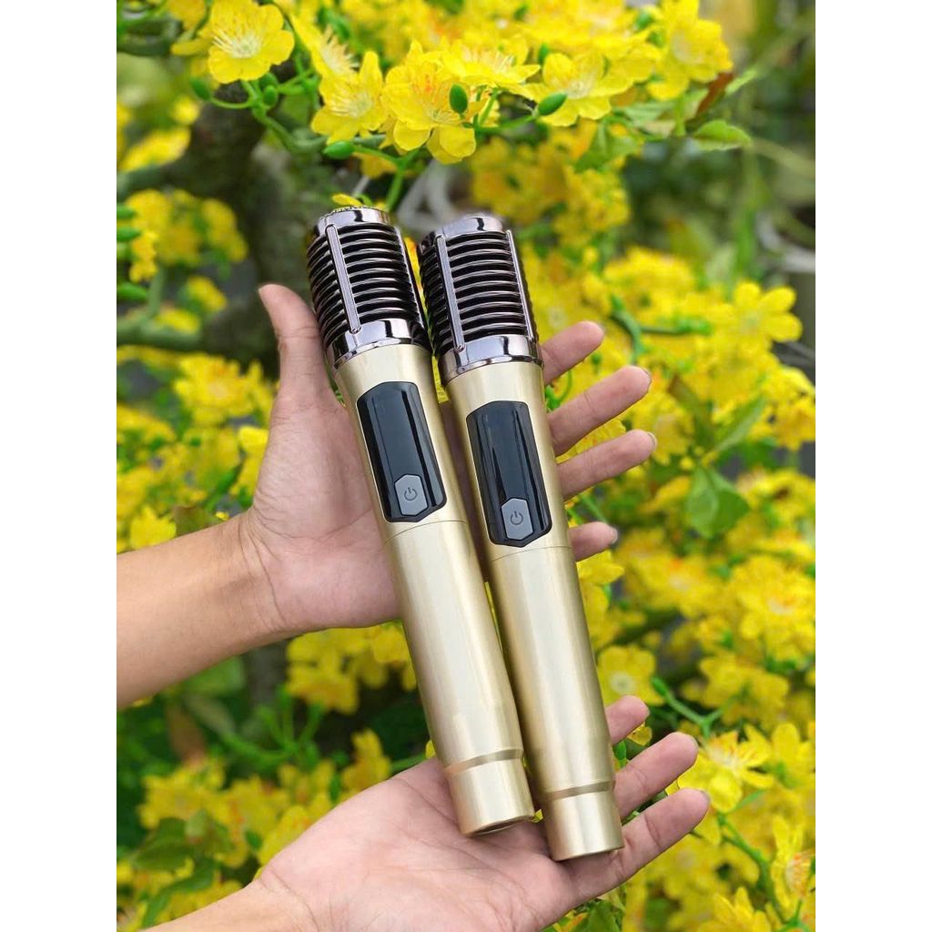 Loa Kraoke Gia đình S10 Plus  2 Micro Hát Nhẹ Vang Sâu Tích Hợp Pin Sạc Bass 30 Công Suất 450W