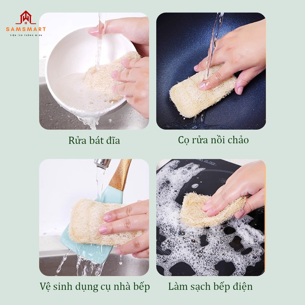 Miếng Rửa Bát Xơ Mướp Tự Nhiên – Làm Sạch Hiệu Quả, Không Trầy Xước, Có Móc Treo