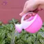 HFTOY Đồ chơi tắm cho bé chậu tưới nước bằng nhựa bãi biển chơi dụng cụ nước cát ~