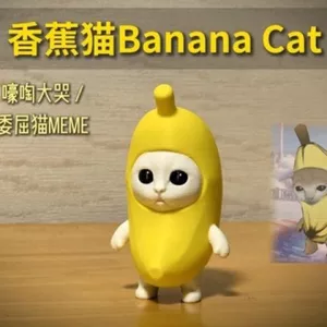 Bananana Cat (Cat meme Family) Đồ chơi in hình 3d 4.17