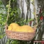 Đồ trang trí tượng chó trong vườn Đồ trang trí bằng nhựa dễ thương sáng tạo cho hàng rào bãi cỏ sân hiên