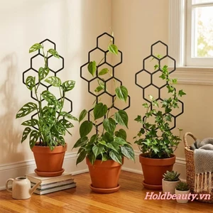 3 Trellis Cây Lục Giác Cho Cây Leo Núi Có Thể Xếp Chồng Hỗ Trợ Sân Vườn Hình Học Cho Cây Nho Trong Chậu