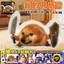 My Shield Gối Sang Trọng Búp Bê Trầy Xước Bibab Búp Bê Cuckoo Gaga Happy Cat Đồ Chơi Trẻ Em Hàng Hóa 4.15