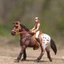 Đức Sile cưỡi ngựa cưỡi ngựa cưỡi ngựa cưỡi ngựa bỏ túi ngựa Rider cảnh đồ chơi mô hình