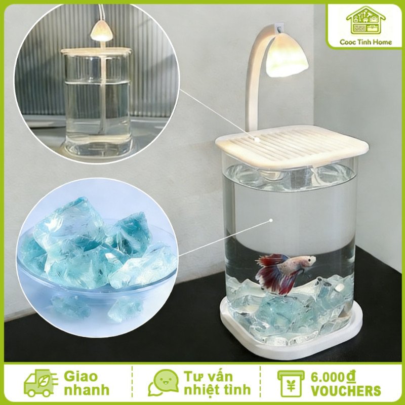Bể Cá Mini Để Bàn Cao Cấp Hệ Thống Lọc Tích Hợp Đèn LED Kính Cao Cấp Trong Suốt Dễ Bảo Dưỡng Để Bàn Làm Việc Decor Phòng