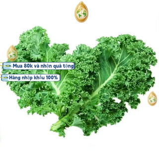 Hạt giống cải kale xoăn xanh Mỹ  - 2 gKhoảng 100 viên thuốc，ram (hạt chuẩn không lẫn)k009