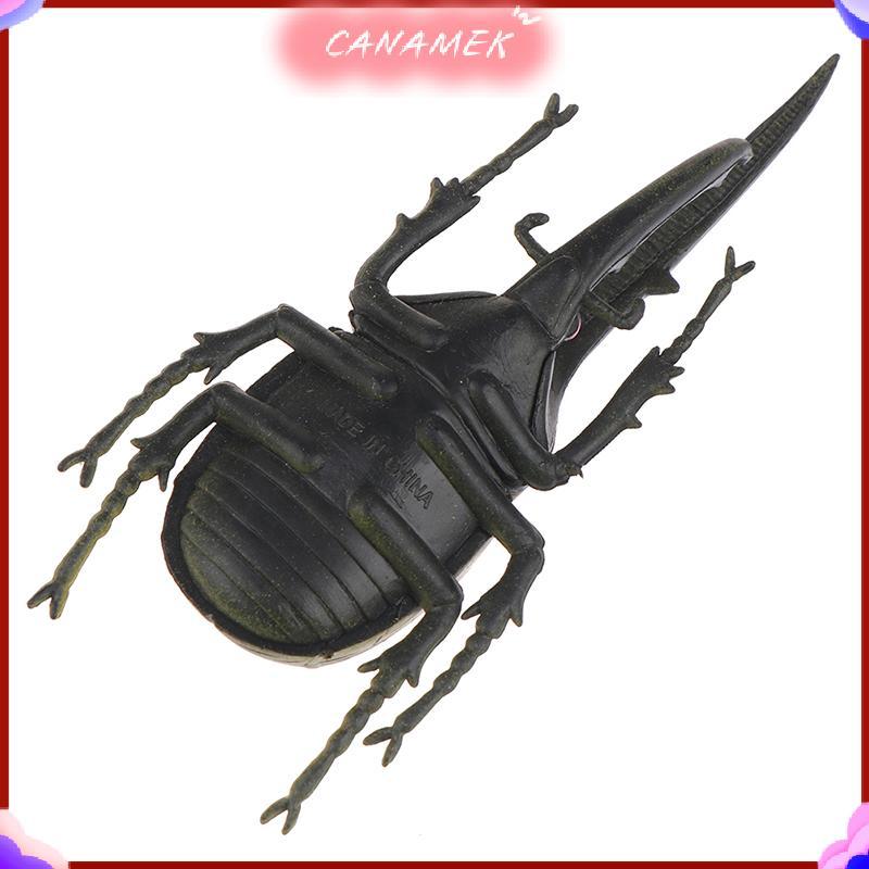 CANAMEK Mô phỏng bọ cánh cứng đồ chơi mô hình đặc biệt giống như thật đồ chơi côn trùng hỗ trợ giảng trò đùa CSF