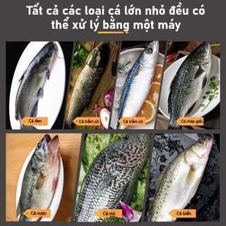 Máy Cạo Vảy Cá Cầm Tay điện, Chống Nước Chống Trượt, Tự động Tẩy Vảy Cá, Có Thể Sạc, Tiện Dụng Di động