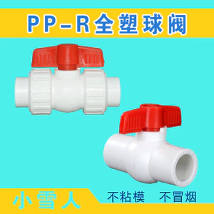 PPR Tất Cả Nhựa Đôi Sống Van 22 4 Điểm 6 Điểm Van Ống Nước Khớp Phụ Kiện Chủ Đề Bên Trong Van Bi 63 X4LB
