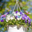 Kẹp vườn chuồn chuồn 3D PVC chống thấm nước bền bỉ để sử dụng mọi thời tiết. Trang trí tiệc sinh nhật