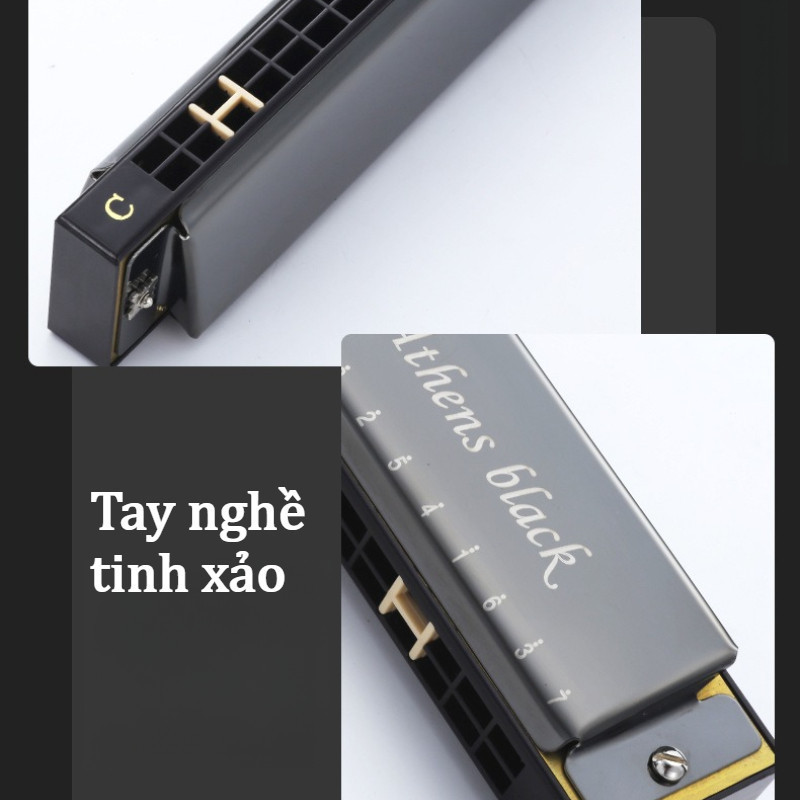 Kèn Harmonica 24 Lỗ – Tặng Hộp Và Khăn, Nhiều Màu Sắc, âm Thanh Hay, Hàng Có Sẵn, Dành Cho Người Mới Tập
