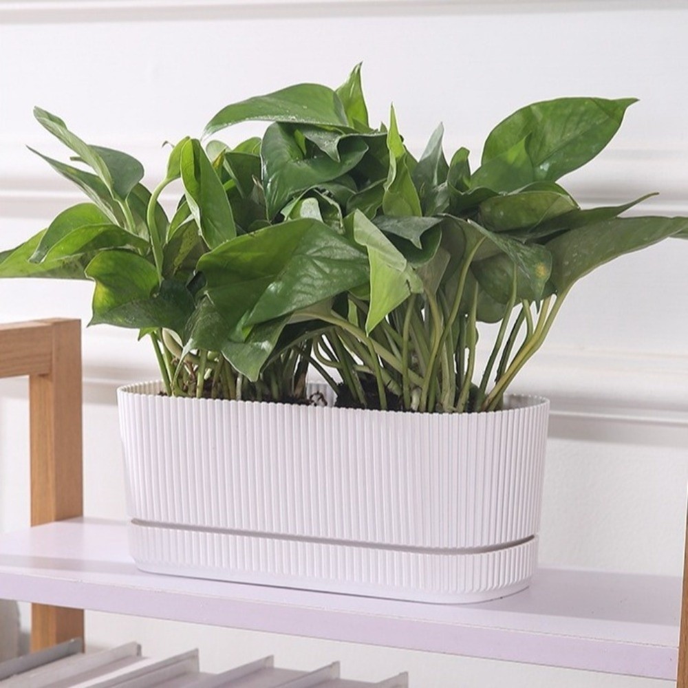 Chậu cây tự tưới DONOVANQQ nhựa hai lớp, thủy canh, bình để bàn, lỗ thoát nước, trang trí văn phòng, dung tích lớn