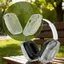 YRBWD 1 Cặp EarPads Cover, Bảo vệ tai nghe TPU chống sốc, Tai nghe thay thế chống trầy xước Vỏ bịt tai không có tai nghe (1) Phụ kiện tai nghe