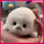 JASMINE Dễ Thương Cho Bé Cói Búp Bê Sang Trọng Đồ Chơi Mặt Dây Chuyền Mô Phỏng Đại Dương Đồ Chơi Lưu Niệm Con Dấu Mặt Dây Chuyền Quà Tặng Túi Búp Bê Mặt Dây Chuyền JASMINE
