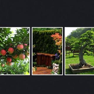 Công cụ loại bỏ vỏ cây LOVIVER Dụng cụ cắt trái cây cây cây hiệu quả cần thiết Dụng cụ trồng cây cao cấp để tỉa cây lớn
