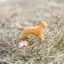 Sile Golden Retriever Pet Puppy Dog Farm Animal Model Children 's Toy Tour Retriever