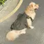 【Ready Stock】 Summer Thin Dog Clothes Cool Medium Large Dog Golden Retriever Husky Samo Pet Cute Anti-Lint Skirt Xcsa