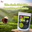 Bột Trà Xanh Matcha AMI Nhật Nguyên Chất Dễ Hòa Tan Lên Màu Đẹp Dùng Pha Chế Latte, Làm Bánh | 100G