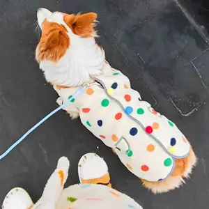 【Ready Stock】 Dog Clothes Winter Thickening Fleece-Lined Warm New Polka Dot Vest Cute Medium Large Dog Shiba Inu Pet Clothing wtII