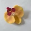 SHUPUN 10 Đầu Hoa Lan Bướm, Thủ Công Lụa DIY Mô Phỏng Bướm Phong Lan, Kẹp Tóc Đầu Hoa Giả 9cm Thực Tế / Boutonniere / Trang Trí Bánh