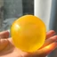 WANYEDI Maltose Bóp Đồ chơi, Đồ chơi phản hồi chậm mô phỏng mềm trong suốt, Khả năng phục hồi chậm Mô phỏng đồ chơi Fidget dẻo cảm giác để ủng hộ bữa tiệc