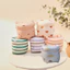 Xiaolu Trẻ Em Bơi Vòng Tay Vòng Tay Dày Retro Nổi Tay Nước Nổi Nổi Thiết Bị Nổi Vòng Tay 4.7