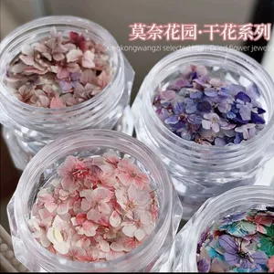 Làm Móng Tay Hoa Khô Chất Liệu Hỗn Hợp Monet Garden Mini Năm Cánh Chất Liệu Hoa Tím Nhỏ Hoa Tự Làm Móng Tay Trang Sức