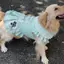 【Ready Stock】 New Dog Cute Dress 2026 Pet Large, Medium and Small Dogs Clothes Golden Retriever Labrador Shooting Skirt mPs0