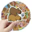 Bộ 50 Chiếc Scpybara Ngoại Vi Hoạt Hình Graffiti Dán Trang Trí Quà Tặng Sinh Nhật gift