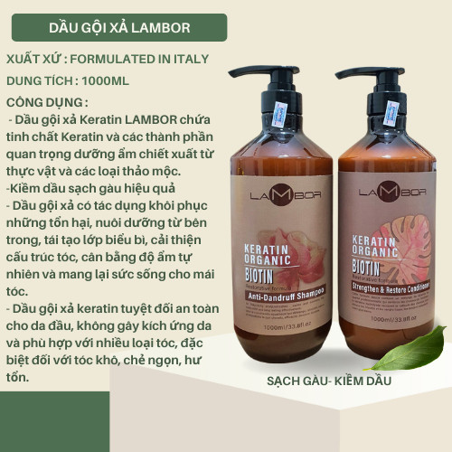 [CHÍNH HÃNG] Cặp Gội Xả AILISE - LAMBOR 1000ml Giảm rụng mọc tóc nhanh, Sạch Gàu, Phục Hồi Siêu Mượt