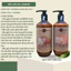 Cặp Gội Xả AILISE - LAMBOR 1000ml Giảm rụng mọc tóc nhanh, Sạch Gàu, Phục Hồi Siêu Mượt