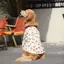 【Ready Stock】 Dog Floral Shirt Summer Thin Golden Retriever Labrador Sun Protection Border Collie Air Conditioning Clothes Big Dog Clothes Shirt Kwvl