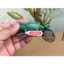 Sile Chameleon Phim Trường Động Vật Ma Thuật Mô Hình Chung Đồ Chơi Trẻ Em
