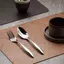 Khung Ảnh 1 Chiếc Nhẹ Sang Trọng Da Chắc Chắn Placemat Cà Phê Nâu PU Bàn Thảm Chống Thấm Nước Chống Dầu Tấm Cách Nhiệt Bát Miếng Lót Trang Trí Bàn VN