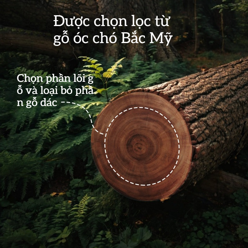 Móc Treo Đồ Gỗ Óc Chó Cao Cấp - Dán/Khoan 2 Cách, Chịu Lực Siêu Dính, Treo Áo Mũ, Dùng Phòng Tắm & Bếp