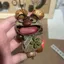 Stormy Tay Làm Thành Phẩm Handmade Hạt Vỏ Búp Bê Chuông Gió Dễ Thương Tự Nhiên Chữa Bệnh Tiếng Ồn Trắng Tay Túi Đồ Trang Trí 4.18