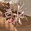 Kẹp Tóc Hoa Siêu Tinh Tế - Phù Hợp Style Bên Bãi Biển - Mới Từ Dubill và Lily