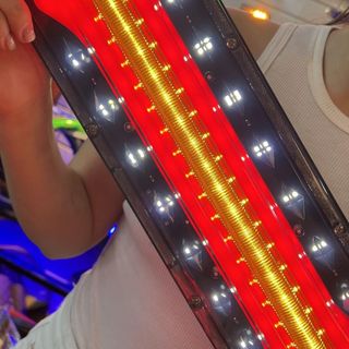 Đèn hậu hình XƯƠNG CHÓ cho xe ô tô tải điện 12v và 24v