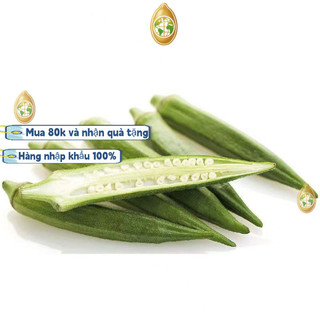 Hạt đậu bắp nhập khẩu từ Trung Quốc, khoảng 90 hạt/gói, giống lùn, năng suất cao, thích hợp trồng quanh năm, k008