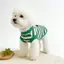 【Ready Stock】 Spring and Summer New Pet Dog Clothes Spring and Summer Small Dog Cat Anti-Lint Outdoor Traction Anti-Dirty Clothes rSxv